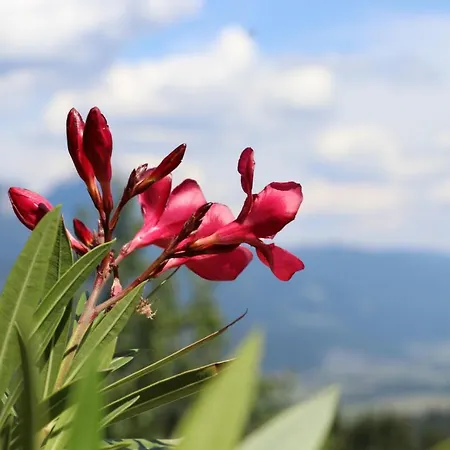 Lamprechtbauer Casa de hóspedes 3*