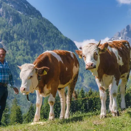 Lamprechtbauer Casa de hóspedes Kotschach-Mauthen