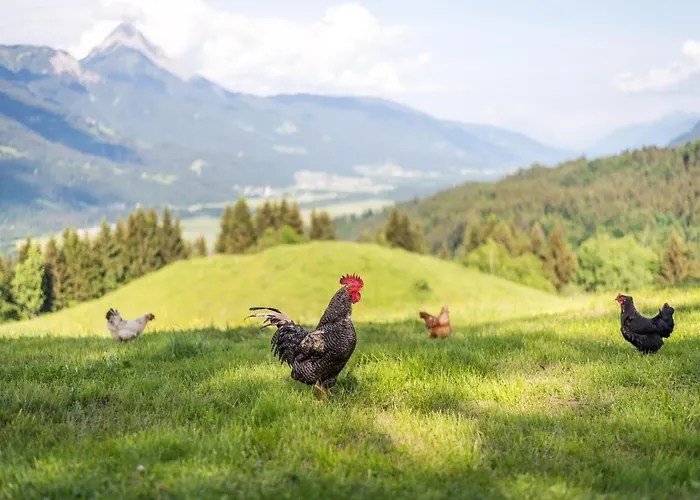 Lamprechtbauer Kotschach-Mauthen